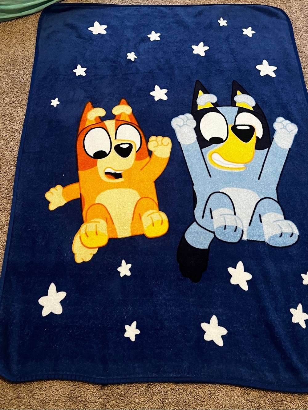 Bluey Plush Blanket